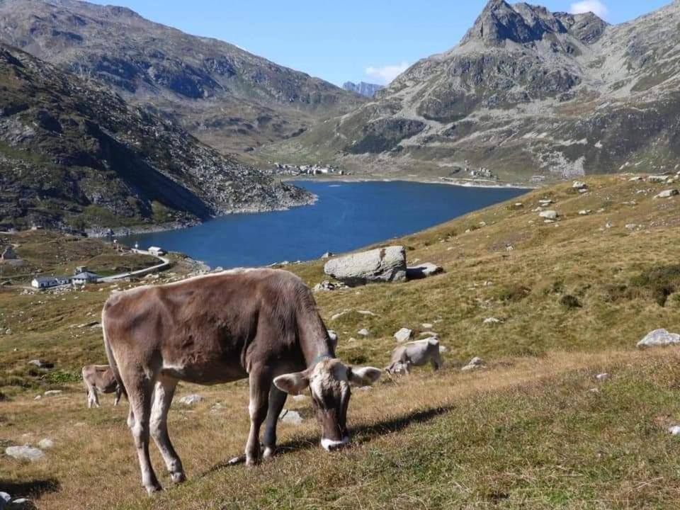 Mansarda Vista Lago A カンポドルチーノ エクステリア 写真